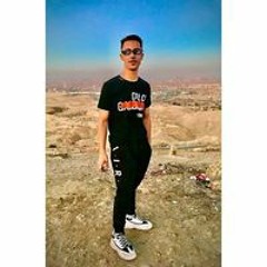 Amr Meezzoo