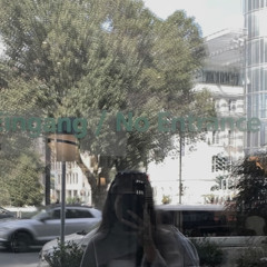 Shaden A. As
