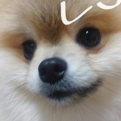 이호진