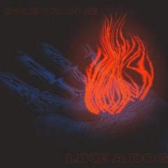 Cole Orange