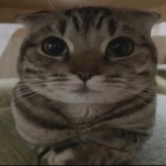 JUN