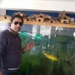 Ahmed El Kholy