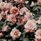 Mariam Qasem