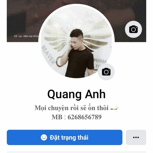 Quang Anh’s avatar