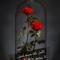 Sherin Ebrahim
