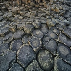 heykel Dhaouadi