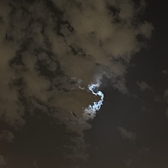 نَجـلاء
