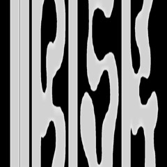 iirisk