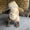 charliep_1974