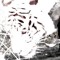 amano