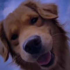 བསྟན་ འཛིན