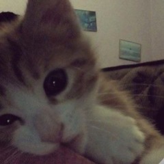 tawan.q