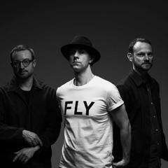 Maximo Park