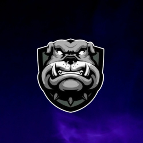 Wilddog Official — artist photo