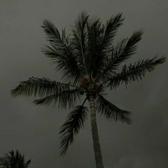 Prodbymysxlf