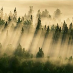 Шаг в темноту (cover)