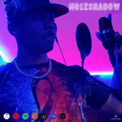 No1zShadow