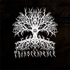 Transcendence