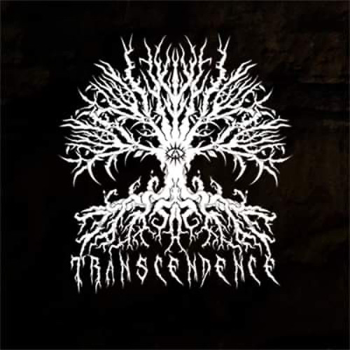 Transcendence’s avatar