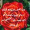 زينب ع الحوسني