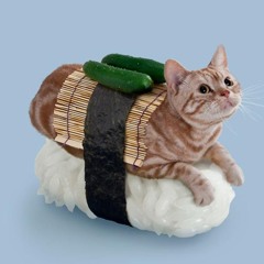 sushicat