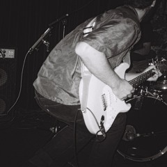 spinus