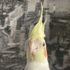 Сашко