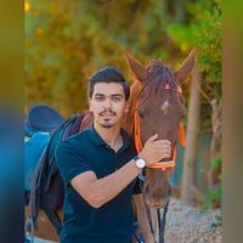 Amr Matahen’s avatar