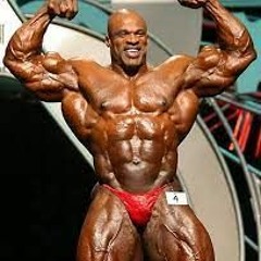 для гулянок з максом