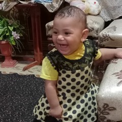 Hamada El Shikh