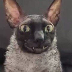 ConsumePrilosec
