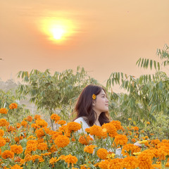 Phyoe Eaindra