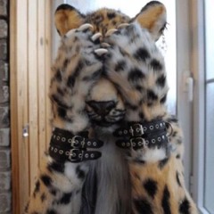 foxhound6