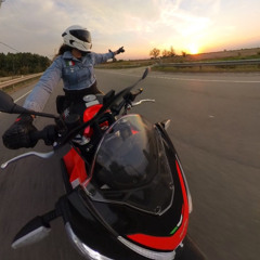 Beauty.v.rider