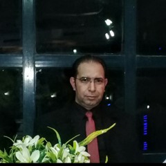 Mohamed Gamal