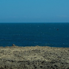 Adventure Time: The Complete Collection