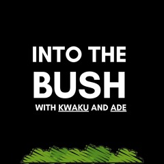 Into the Bush Podcast