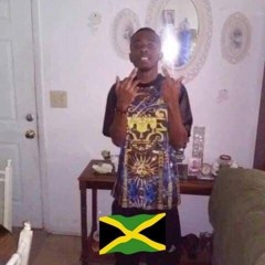 Zeli$avage380