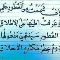 احمد محمد عبد الجواد