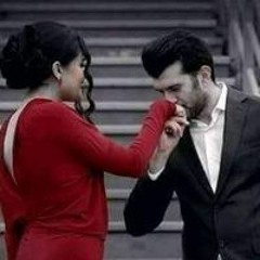 فارس المنصورى