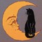⊹ Moonshine Tribe ⊹
