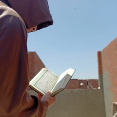 m7mod sale7_ محمود صالح