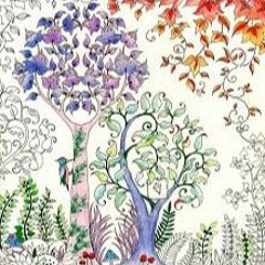 Hidden Sirens Garden