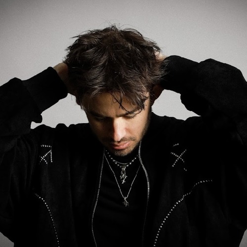 Wolfie artist photo