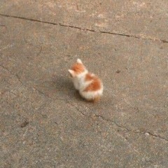 Bepsi