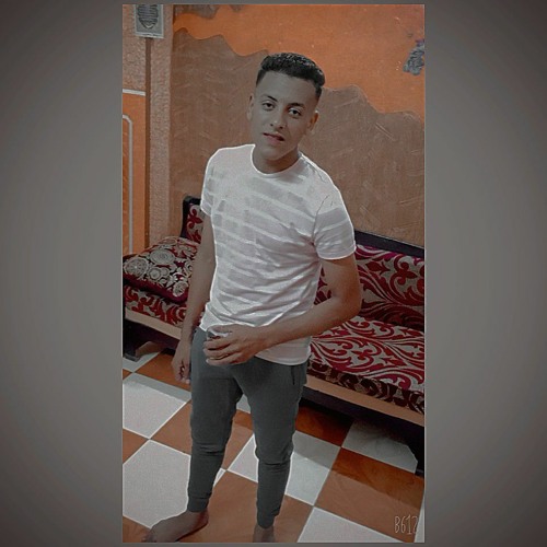 احمد محمد سليمان’s avatar
