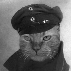 Martin von Rauchhaupt