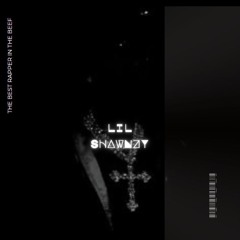 Lil Shawnzy