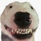 frickmaster69