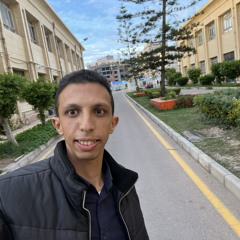 Ahmed Mahfouz